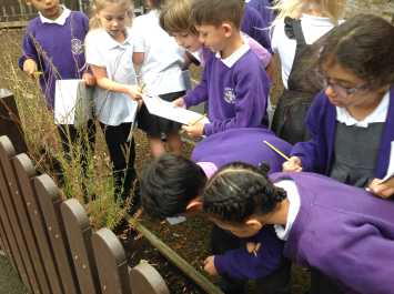 3B hunt for minibeasts