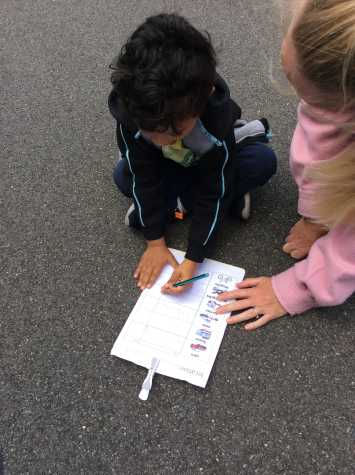 Nursery carry out a traffic survey