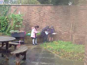 3B hunt for minibeasts