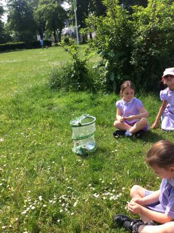 Reception say goodbye to their butterflies