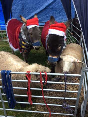 Foundation Stage Attend the Living Nativity