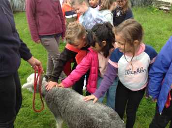 3H’s visit to a farm