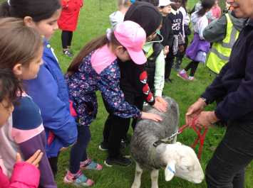 3H’s visit to a farm